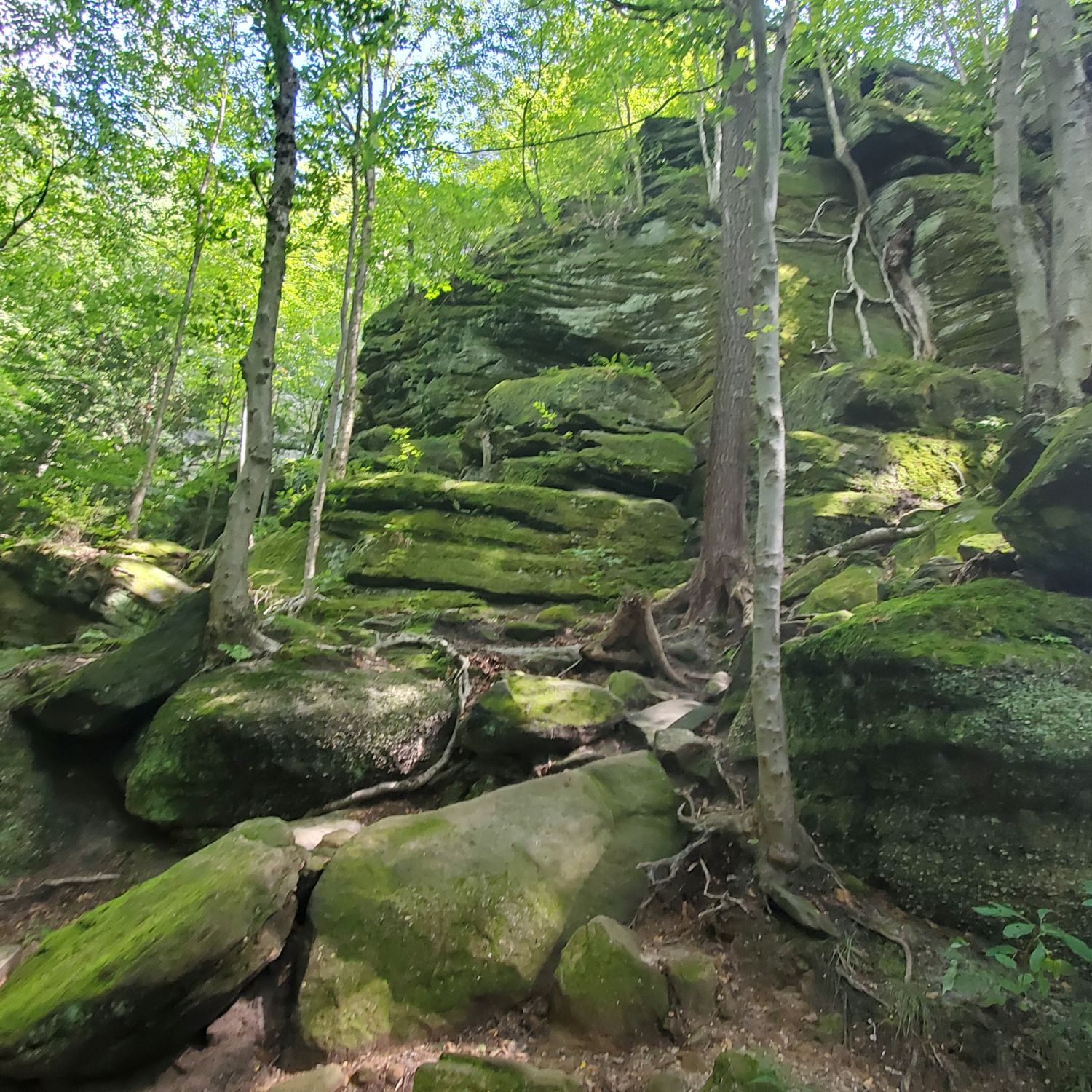 Ledges and Pine Grove Trails 